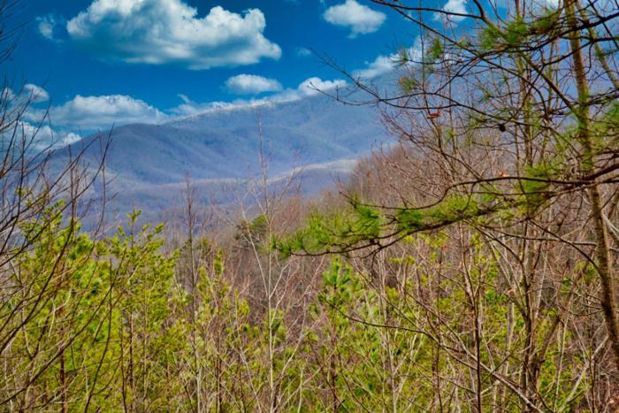 Mountain Love Nest Gatlinburg Exterior foto